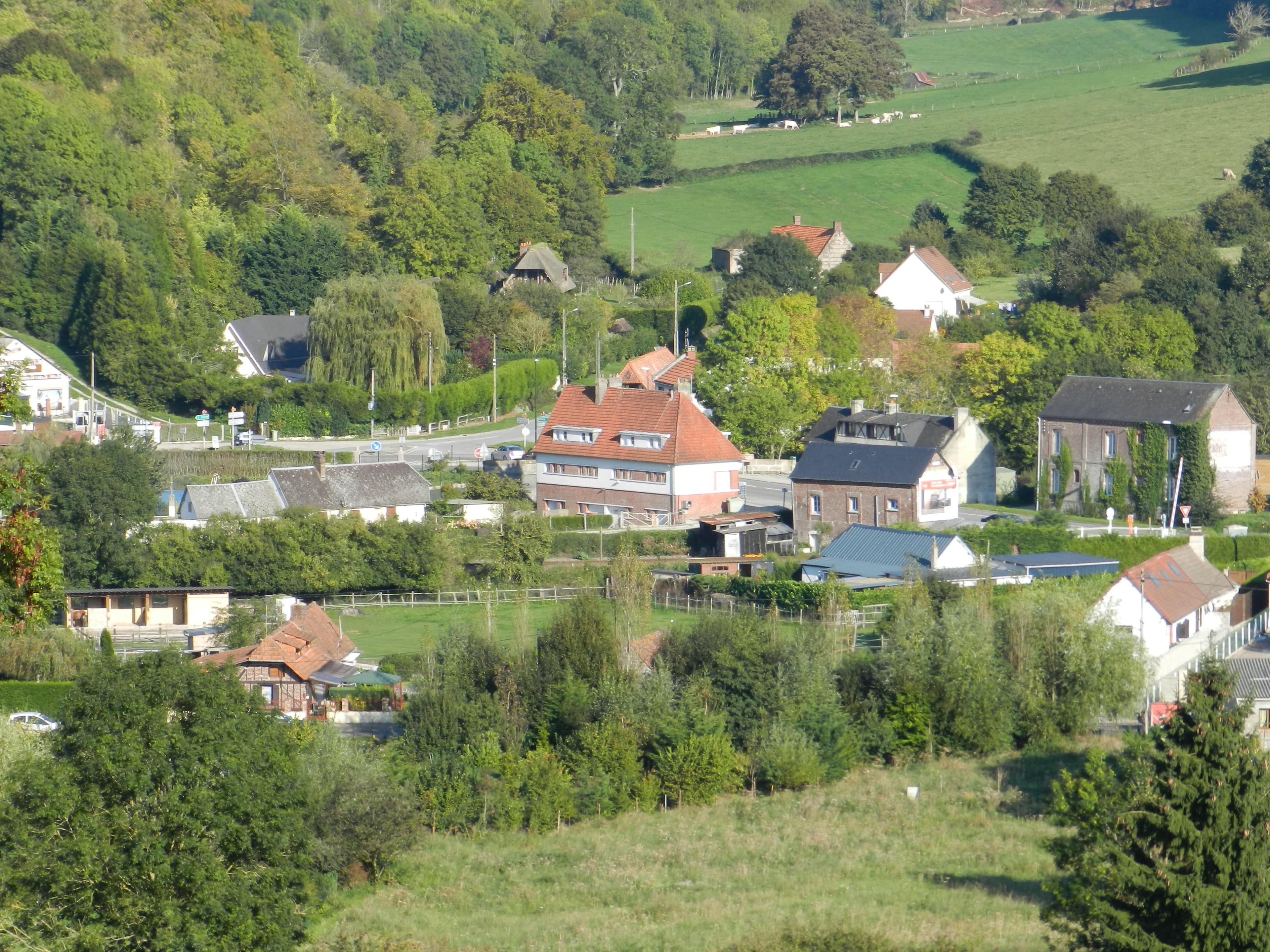 DSCN0004